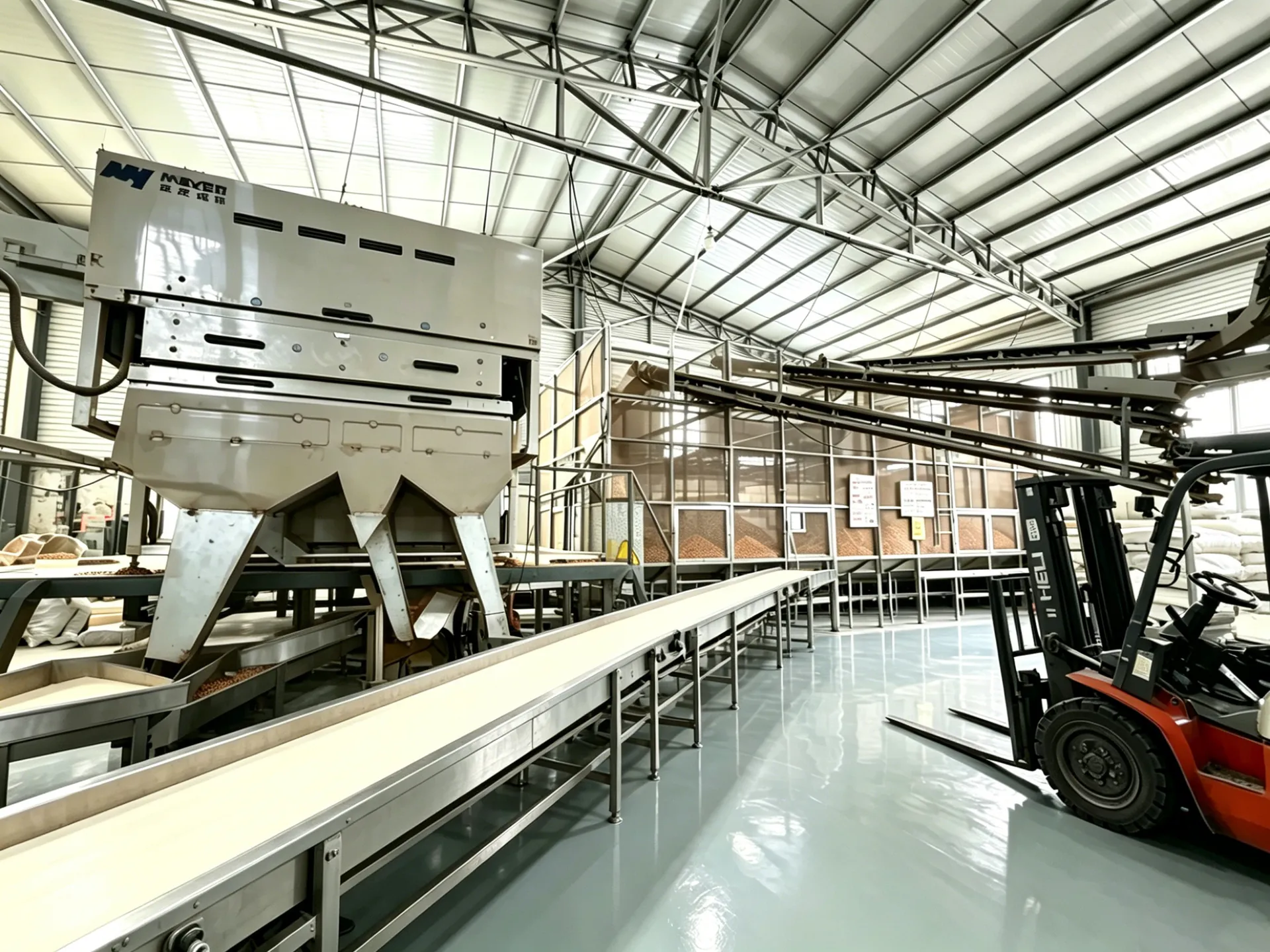 Peanut processing workshop and conveyor