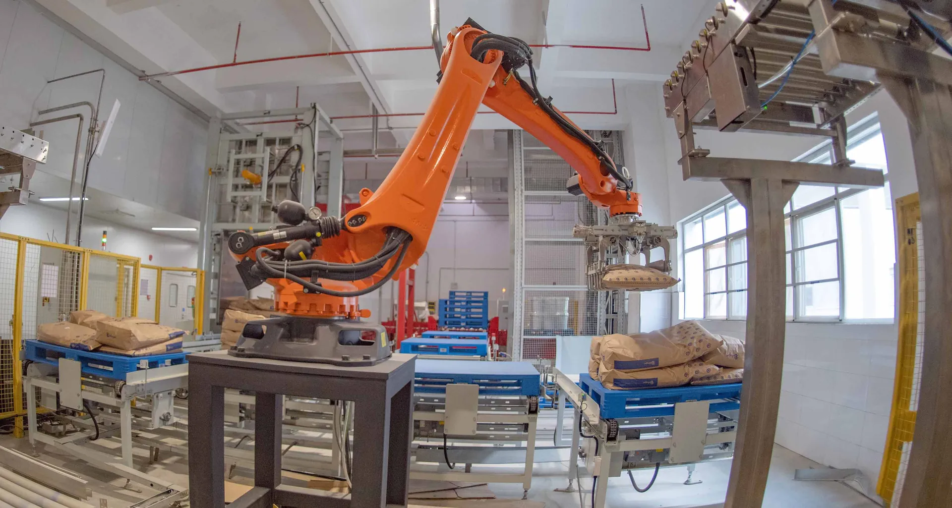 Peanut packing equipment