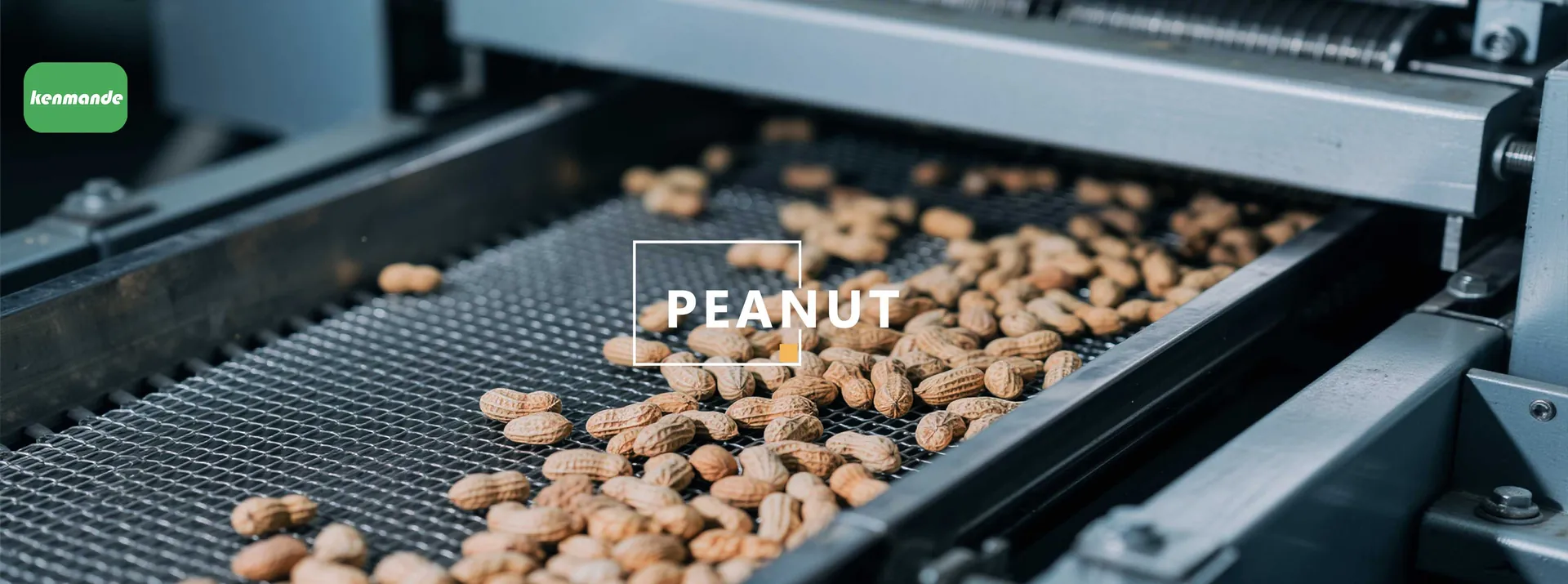 Peanut field source