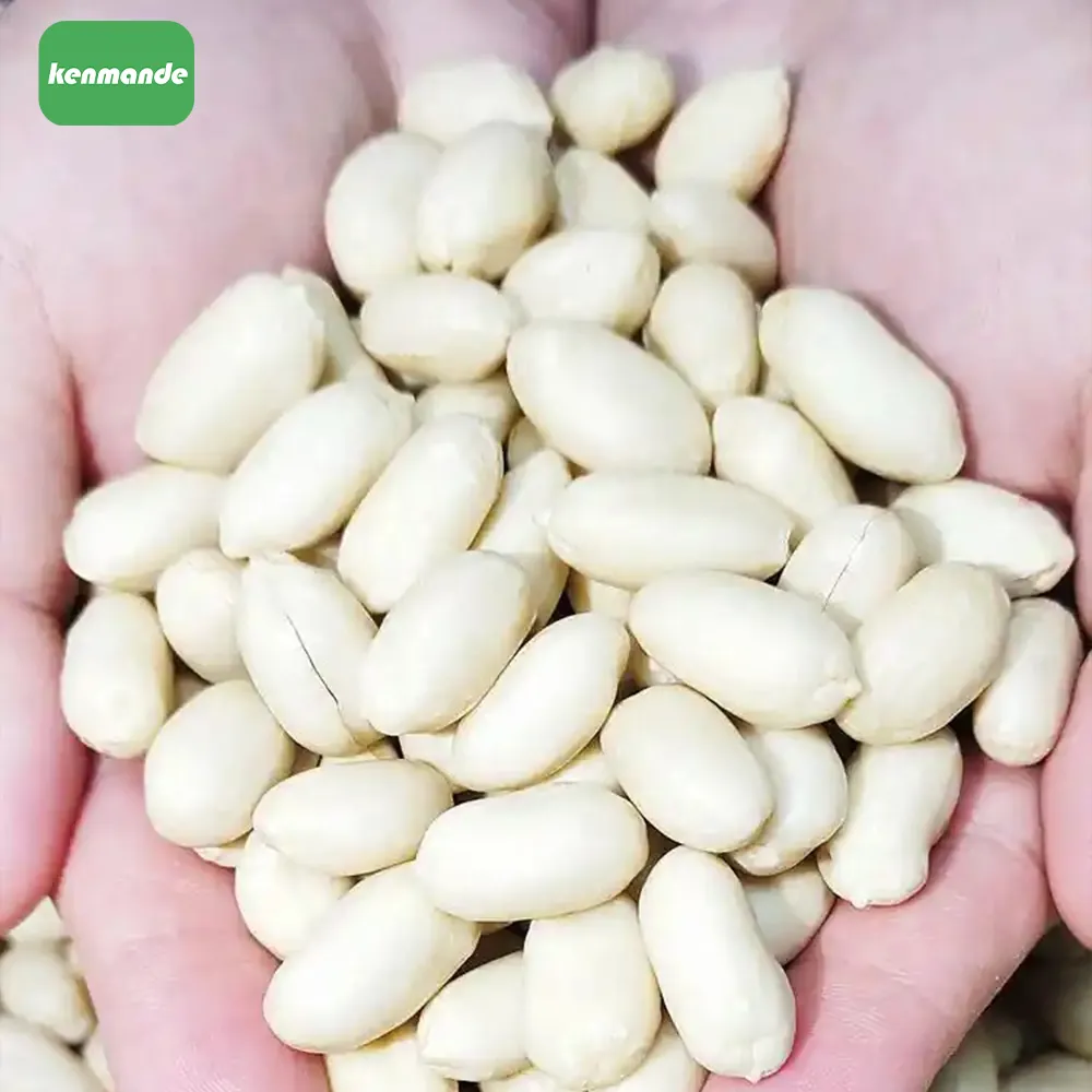Blanched Peanuts product photo 8