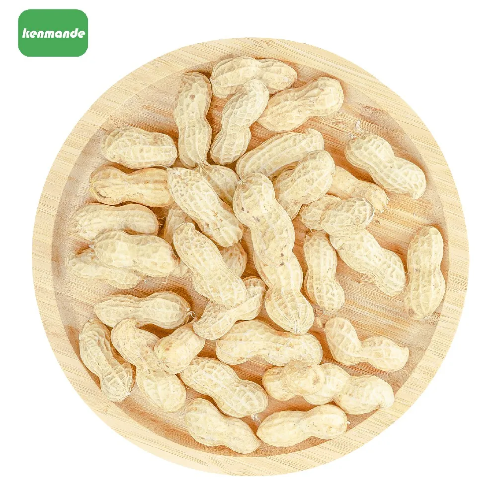 9/11 Peanuts in Shell