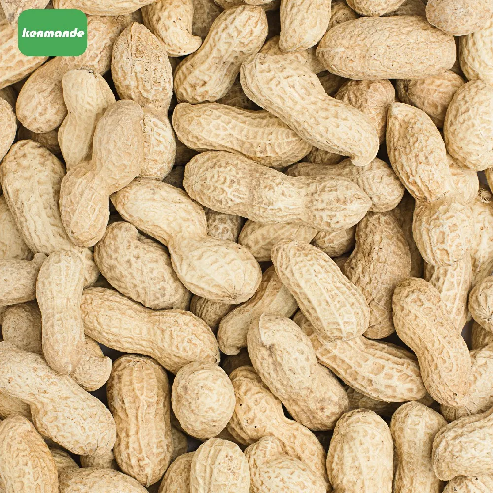 In-shell Peanuts product photo 10