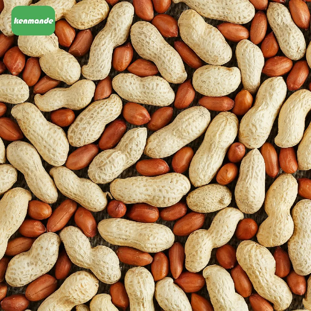 In-shell Peanuts product photo 12
