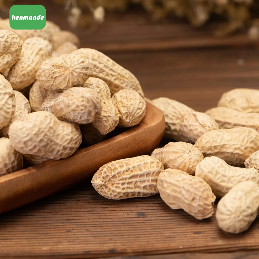 In-shell Peanuts product photo 14