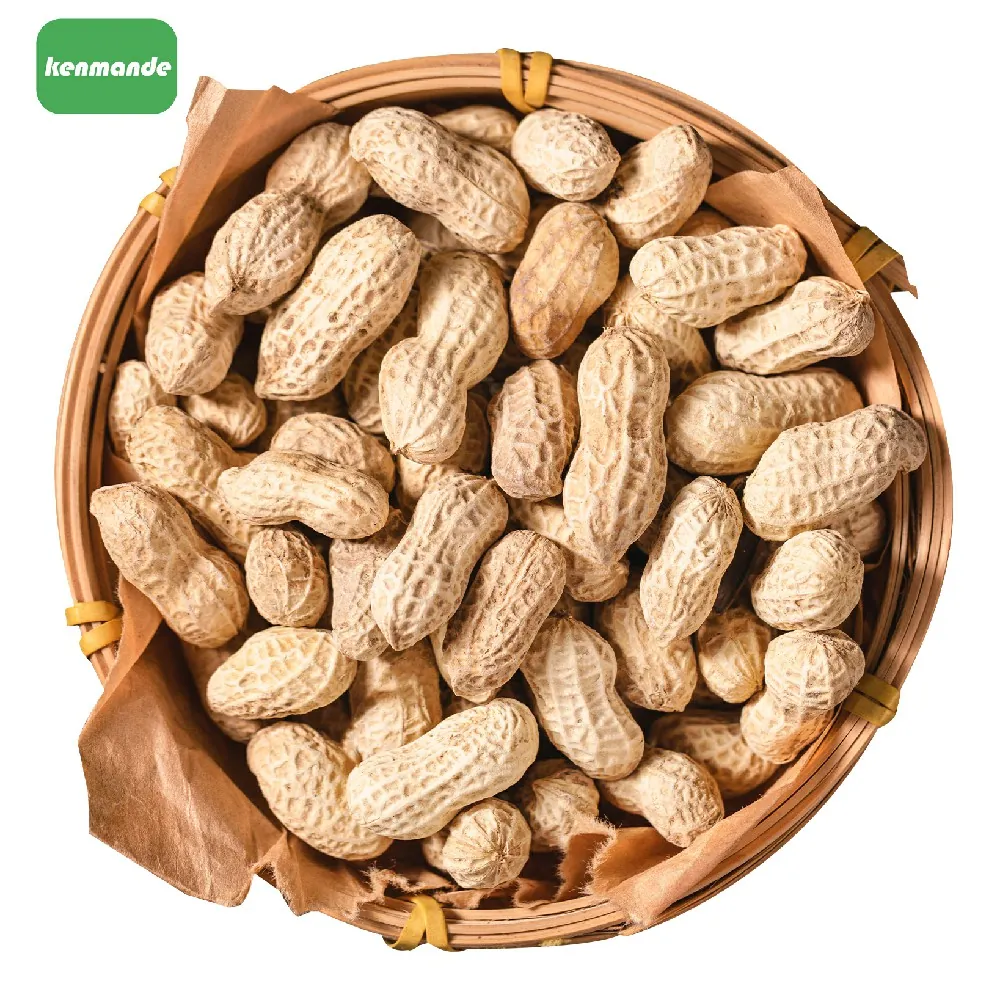 13/15 Peanuts in Shell