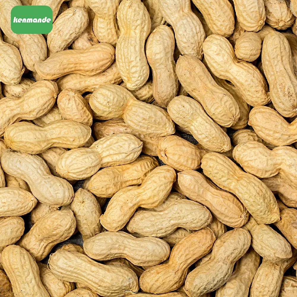 In-shell Peanuts product photo 9