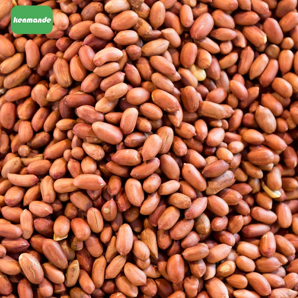 70/80 Round-Type Peanut Kernels