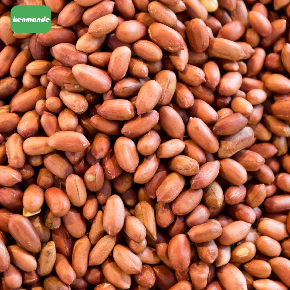 Peanut Kernels product photo 11