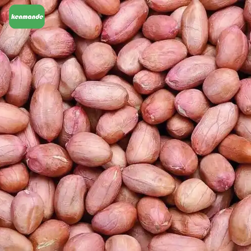 40/50 Round-Type Peanut Kernels